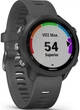 Смарт-часы Garmin Forerunner 245 Slate Gray (010-02120-10) - изображение 2