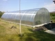 Теплица "Алмир" 5x8 из квадратной трубы 30*30 с поликарбонатом Soton 4 мм - изображение 3
