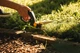 Nożyce do trawy Fiskars GS42 (1000589/113680) - obraz 3