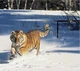Настінний годинник ART-LIFE COLLECTION W-S-4045-C01-00017-T - зображення 1