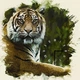 Настінний годинник ART-LIFE COLLECTION W-S-6060-C01-00015-T - зображення 1