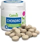 Хондропротектор Canvit Chondro для собак ±90 таблеток (can50729/can50782) - изображение 2