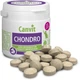 Хондропротектор Canvit Chondro для котов ±90 таблеток (can50743) - изображение 2