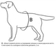Шлея Collar Dog Extreme Police N5 з ліхтариком 85-115 см Червона (07133) - зображення 3