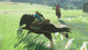 The Legend of Zelda Breath of the Wild (Switch, русская версия) - изображение 8