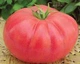 Семена Томат Сахарный бизон GL Seeds 0.1г (For Hobby648) - изображение 2