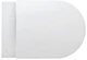 Инсталляция GROHE Rapid SL 38722001 с панелью смыва Skate Air 38505SH0 + унитаз LAUFEN Pro Rimless H8669510000001 с сиденьем Soft Close дюропласт - изображение 5