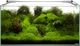 LED-светильник AquaEl Leddy Slim Plant 32 Вт 80-100 см (5905547003192/5905546300087) - изображение 2