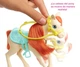 Ігровий набір Барбі Верхова їзда і обійми Barbie Hugs N Horses Playset, Blonde - зображення 3