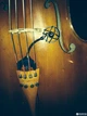 Мікрофон Prodipe CL21 Lanen Cello (26-19-7-7) - зображення 3