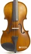 Скрипка Stentor 1542/A Graduate Violin Outfit 4/4 - изображение 3