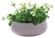 Горшок с кашпо для цветов Cozies L Keter 54х54х20,4 см (sad0001156) Фиолетовый - изображение 1