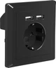 Розетка Lanberg Schuko Socket 2 USB Port 2.1A Чорна (AC-WS01-USB2-F-B) - зображення 2