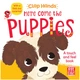 Книга на англійській мові Here Come the Puppies: A touch-and-feel board book with a fold-out surprise (Clap Hands) від автора Pat-a-Cake і видавництва Hachette children's Group з Великобританії - зображення 1