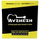 Струны акустической гитары бронза Avzhezh AB1253 Преміум Акустика (12-53) - изображение 1