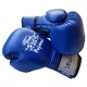 Боксерские перчатки Thai Professional BG3 NEW(10oz) Синие - изображение 1