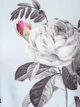 Платье Uttam Boutique XS Голубой 8000155 - изображение 2