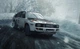 Dirt Rally (PS4, русская версия) - изображение 3