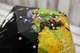 Объемный 3D Глобус My Pin Map Black Globe, черный цвет, 23 см - изображение 5