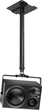 Neumann KH 310 A R G Anthracite (505576) - зображення 5