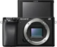 Беззеркальный фотоаппарат Sony Alpha A6100 kit(16-50mm) - изображение 8