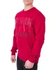 Світшот чоловічий TRUSSARDI JEANS (52F00089-1T003041-К145/19-20-2) Червоний XXL - изображение 3