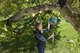 Плодозбірник Gardena Combisystem Rollsammler (4078500018005) - зображення 2