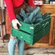Дерев'яний ящик "Mess" (deco-mess) TARLINI home - зображення 8