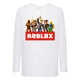 Лонгслив реглан Роблокс 4 (Roblox) белый (RBL wh 04) 164 см - изображение 1