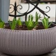 Вазон Keter Cozies L 22,8 л бежевый - изображение 3