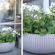 Вазон Keter Cozies L 22,8 л бежевый - изображение 5