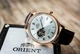 Мужские часы ORIENT FAG00001S0 - изображение 3