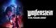 Wolfenstein: Youngblood Deluxe Edition Nintendo Switch (ваучер на скачивание) - изображение 2
