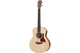 Бас-гітара акустична TAYLOR GUITARS GS MINI-E BASS - зображення 1