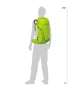 Рюкзак Osprey Talon 33 Spring Green S/M (009.1409) - изображение 2