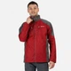 Дождевик Regatta Calderdale L69 Delhi Red, XL (50) (11199743) - изображение 2