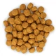 Сухой корм для собак Hills Science Plan Canine Adult Medium Chicken Курица для средних пород 14 кг - изображение 3
