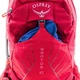 Рюкзак Osprey Raptor 14 червоний - изображение 6