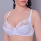 Бюстгальтер Diorella 34913 D белый 95D - изображение 1