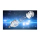 Светодиодная лампа приманка для насекомых Zapp Light Белая (3670) - изображение 5