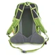 Спортивный рюкзак Pinguin Ride 25 2020 Green (PNG 308143) - изображение 3