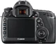 Canon EOS 5D Mark IV 24-105 L IS II USM Kit - изображение 4