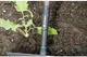 Граблі Gardena NatureLine сталеві 36 см (17106-20.000.00) - зображення 2