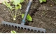 Граблі Gardena NatureLine сталеві 36 см (17106-20.000.00) - зображення 3