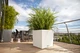 Умный горшок Lechuza CUBE Cottage 30 квадратный 12л 30 x 30 см Белый - зображення 3