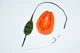 Набор BratFishing Flat-Elite 3.3 м - изображение 7