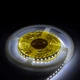 Светодиодная лента Venom SMD 2835 120 LEDs/M 9.6W 5м 12V IP20 Premium Белый (VP-2835121200-W) - изображение 2