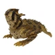 Фигурка Lanka Novelties Рогатая ящериц 30 см (21549) (10-550274) - изображение 1