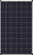 Сонячна батарея JA Solar JAP6(DG)-60-270/ 4BB/1500V - зображення 1