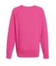 Свитшот Fruit of the Loom Lightweight raglan sweat M Малиновый (062138057M) - изображение 2